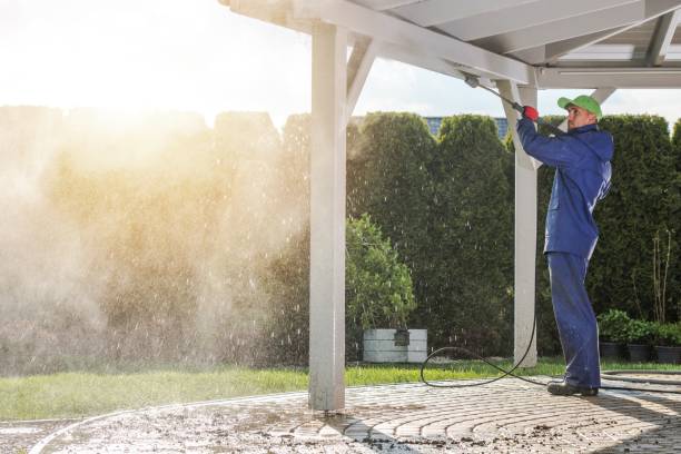 Best Gutter Cleaning  in Sho Creek, AL